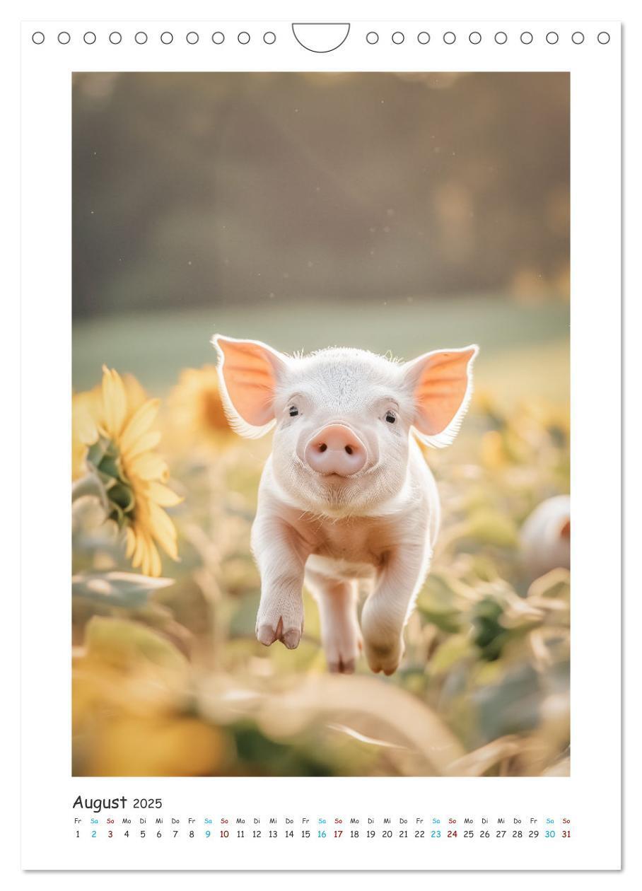 Bild: 9783457160459 | Schwein gehabt (Wandkalender 2025 DIN A4 hoch), CALVENDO...