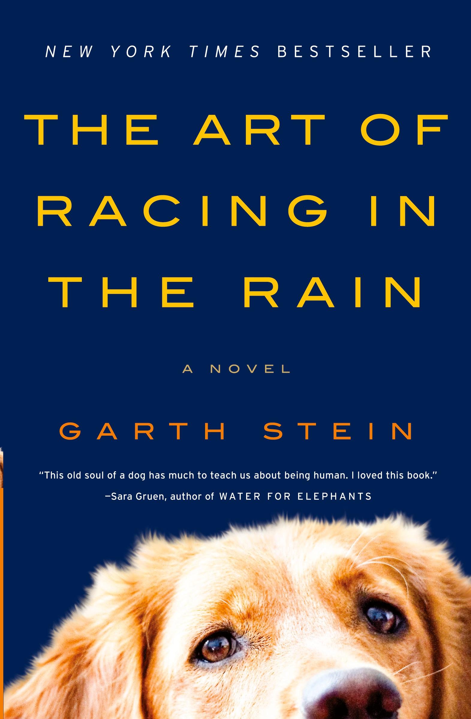 Cover: 9780061537967 | The Art of Racing in the Rain | Garth Stein | Taschenbuch | Englisch