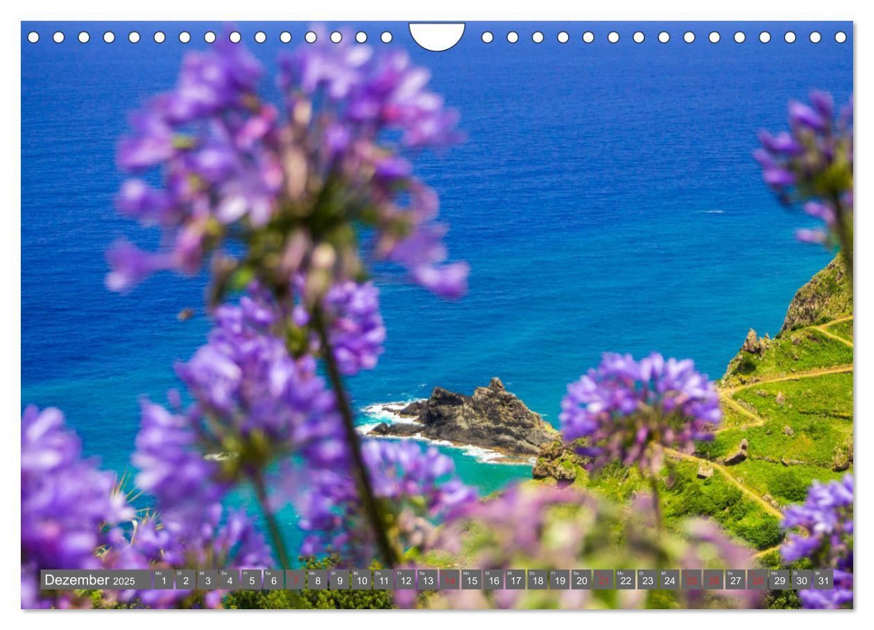 Bild: 9783435223114 | Madeira - Insel der Blumen 2025 (Wandkalender 2025 DIN A4 quer),...