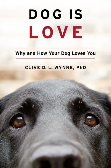 Cover: 9781328543967 | Dog Is Love | Why and How Your Dog Loves You | Clive D. L. Wynne