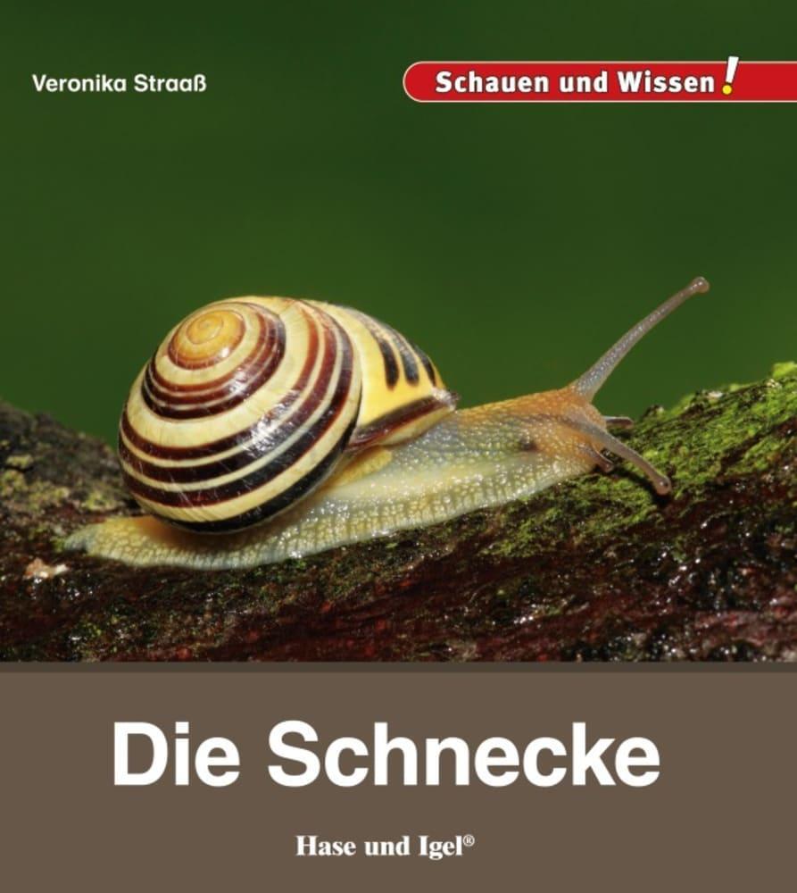 Cover: 9783867607681 | Die Schnecke | Schauen und Wissen! | Veronika Straaß | Buch | 34 S.