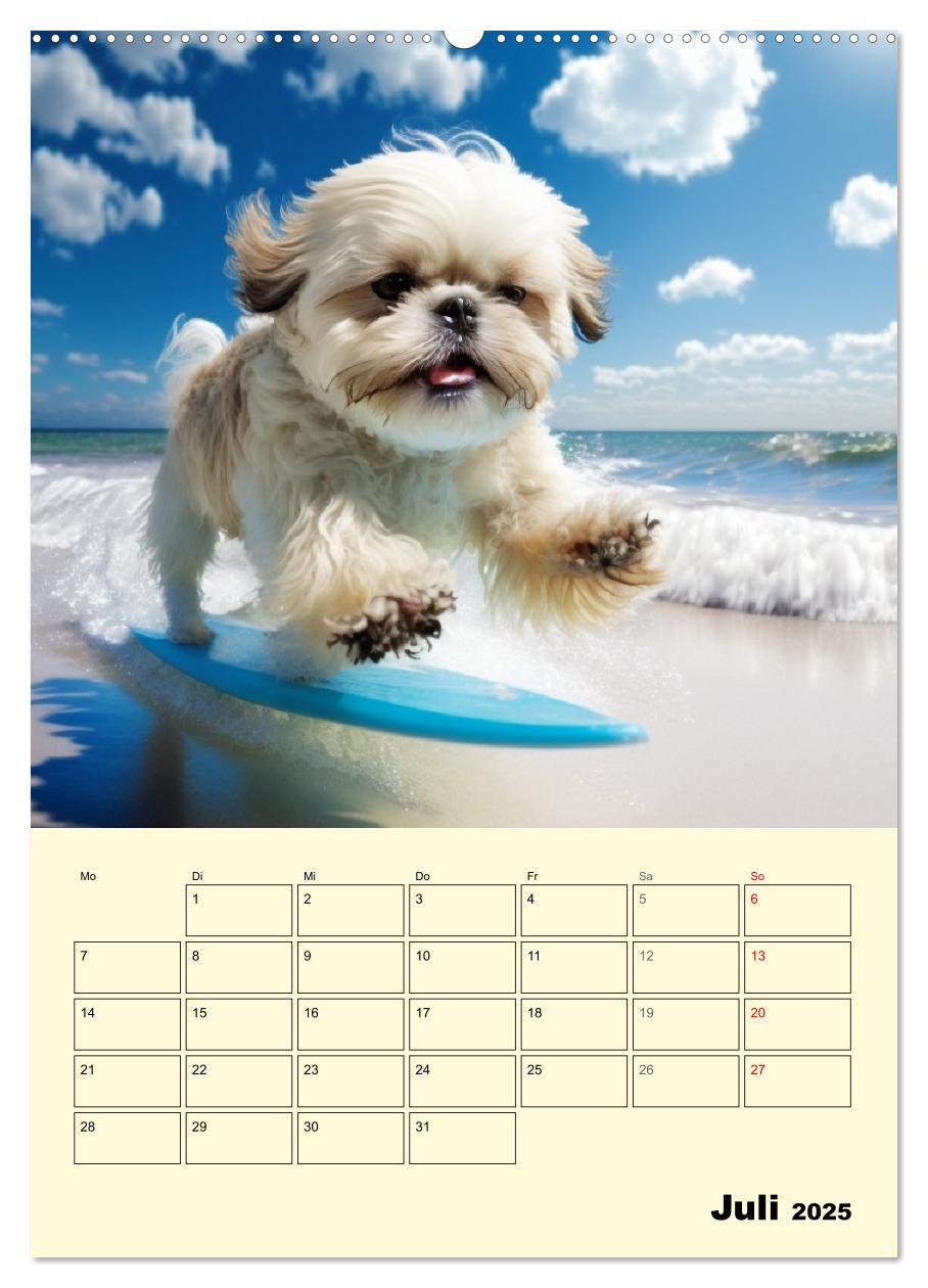 Bild: 9783435874101 | Shih Tzu Alarm. Glückliche Wuschelköpfe (Wandkalender 2025 DIN A2...