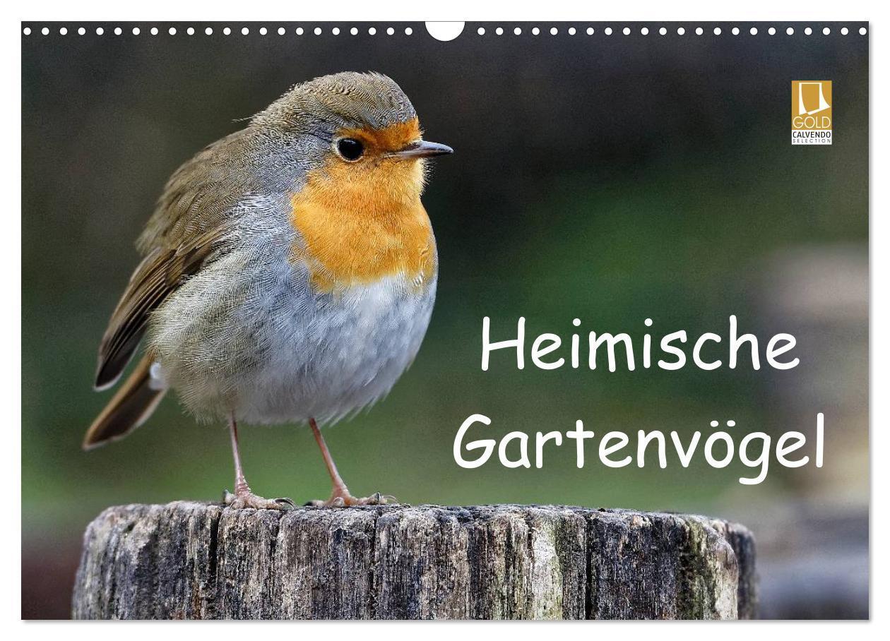 Cover: 9783383405310 | Heimische Gartenvögel (Wandkalender 2024 DIN A3 quer), CALVENDO...