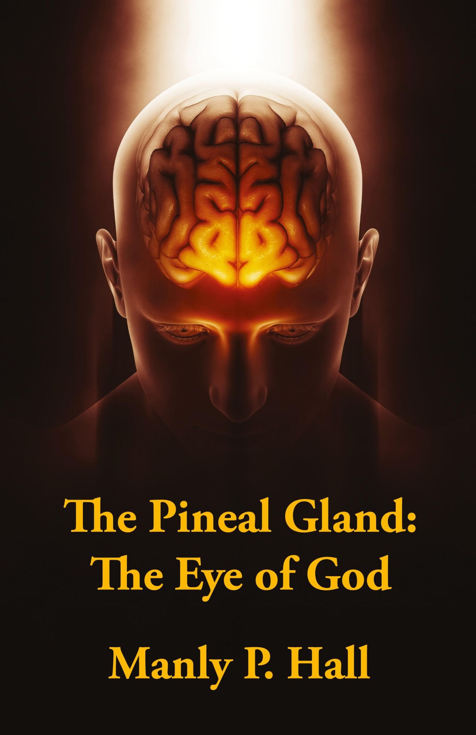 Cover: 9781639231669 | The Pineal Gland | The Eye Of God | Manly P. Hall | Taschenbuch | 2022