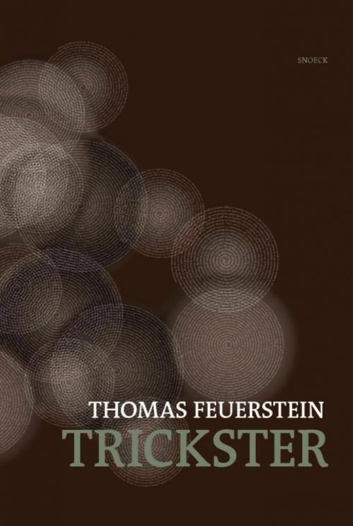 Cover: 9783864420313 | Thomas Feuerstein: Trickster | Thomas Feuerstein | Buch | Deutsch