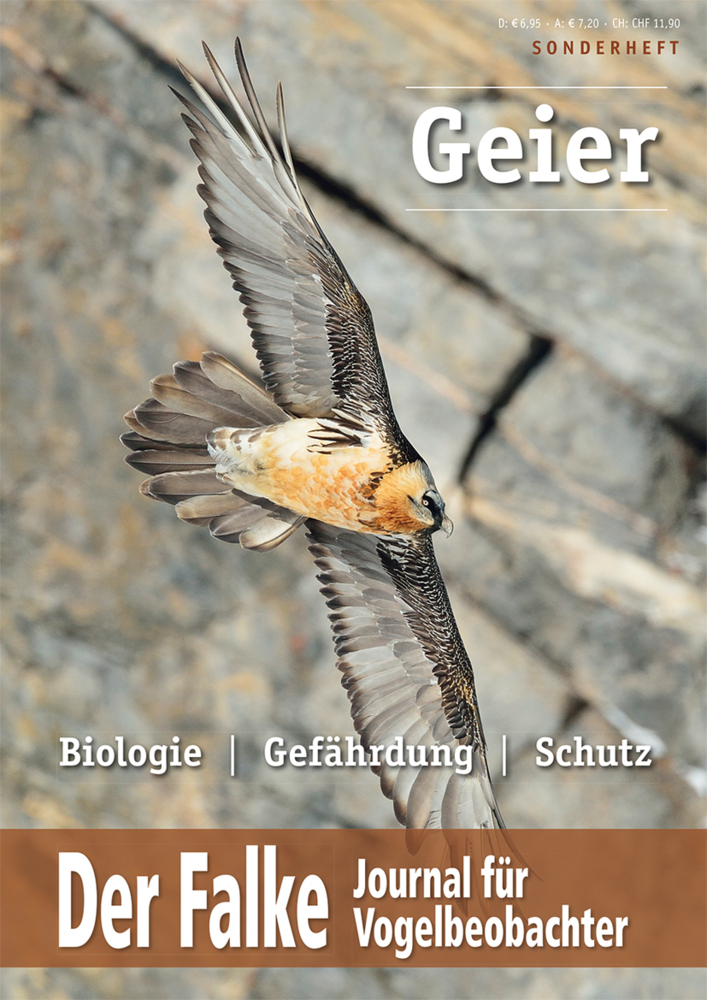 Cover: 9783891048023 | Geier in Europa | Biologie - Gefährdung - Schutz | Taschenbuch | 2016