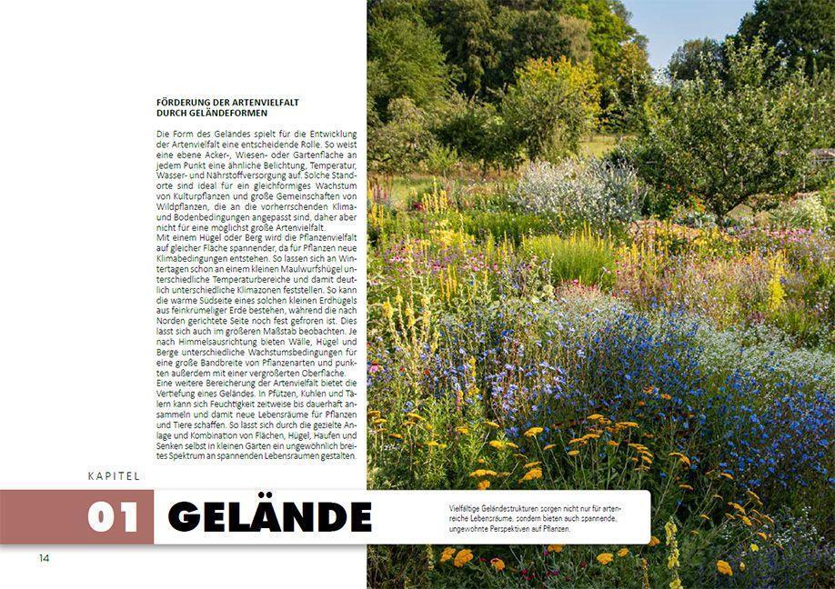 Bild: 9783258083469 | So geht Naturgarten | Katja Falkenburger | Buch | 176 S. | Deutsch