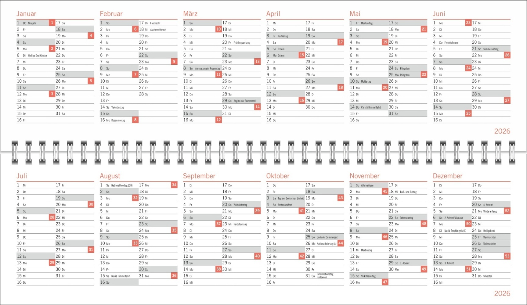 Bild: 9783756406531 | sheepworld Wochenquerplaner 2025 | Kalender | Spiralbindung | 64 S.