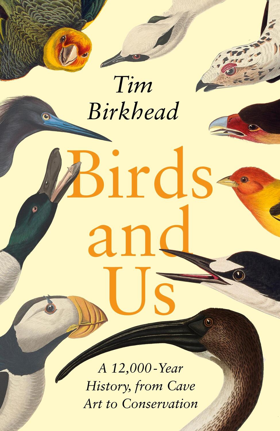 Cover: 9780241460498 | Birds and Us | A 12,000 Year History, from Cave Art to Conservation