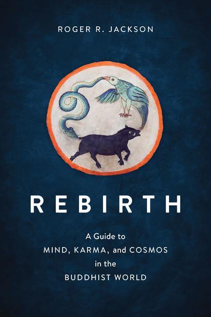Cover: 9781611809022 | Rebirth: A Guide to Mind, Karma, and Cosmos in the Buddhist World