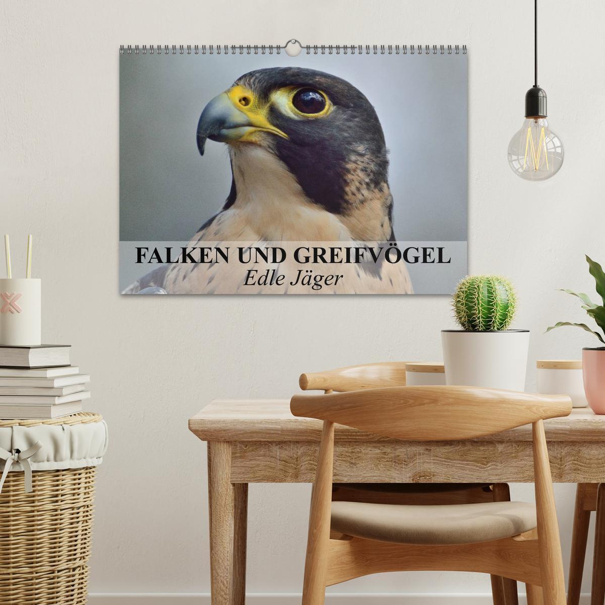 Bild: 9783435651153 | Falken und Greifvögel. Edle Jäger (Wandkalender 2025 DIN A3 quer),...