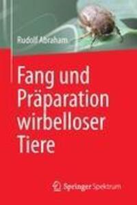 Cover: 9783827430762 | Fang und Präparation wirbelloser Tiere | Rudolf Abraham | Taschenbuch