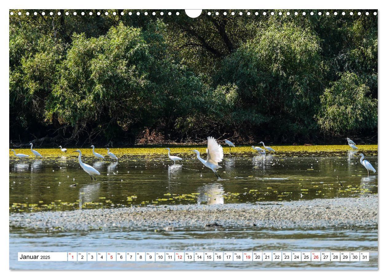 Bild: 9783383803048 | Rund um das Donaudelta (Wandkalender 2025 DIN A3 quer), CALVENDO...