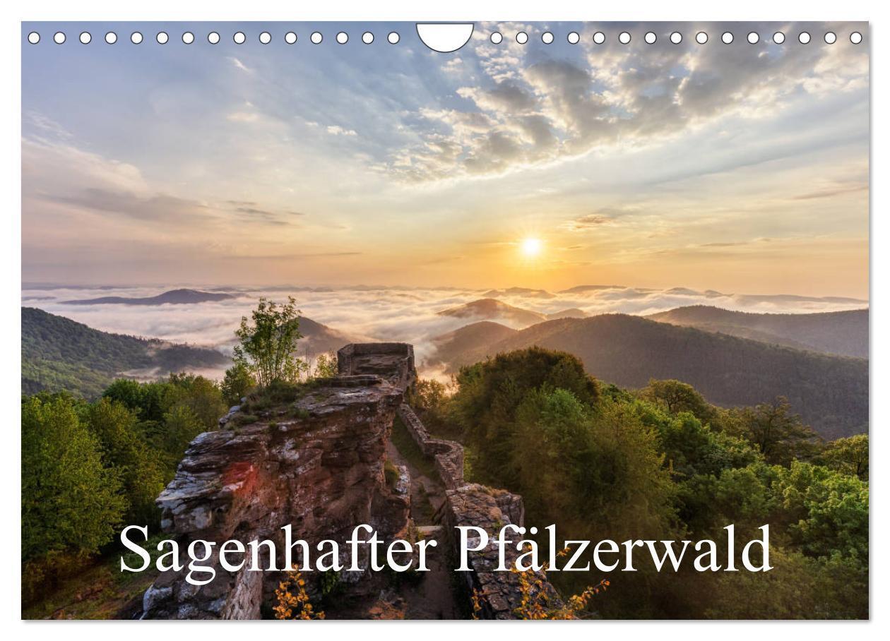 Cover: 9783383219320 | Sagenhafter Pfälzerwald (Wandkalender 2024 DIN A4 quer), CALVENDO...