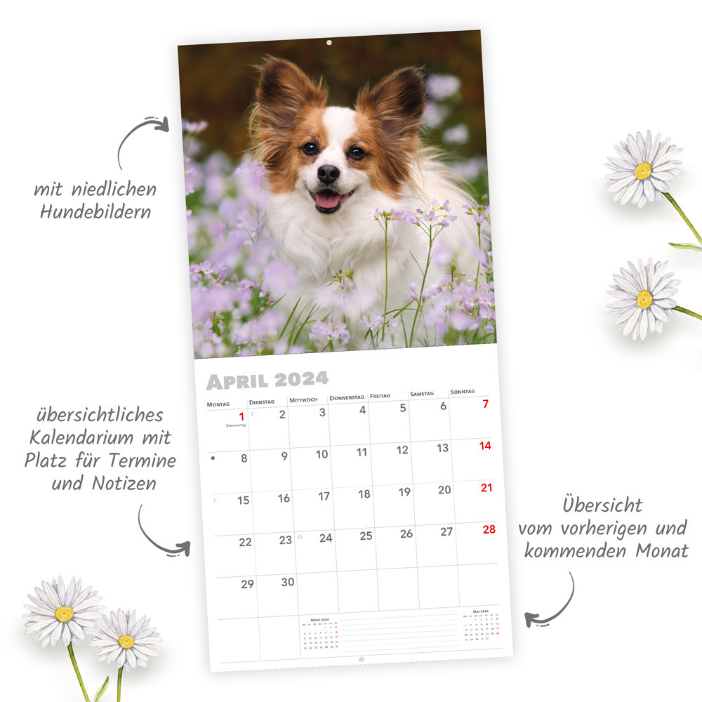 Bild: 9783965529731 | Trötsch Broschürenkalender Hunde 2024 | Wandplaner | Co.KG | Kalender