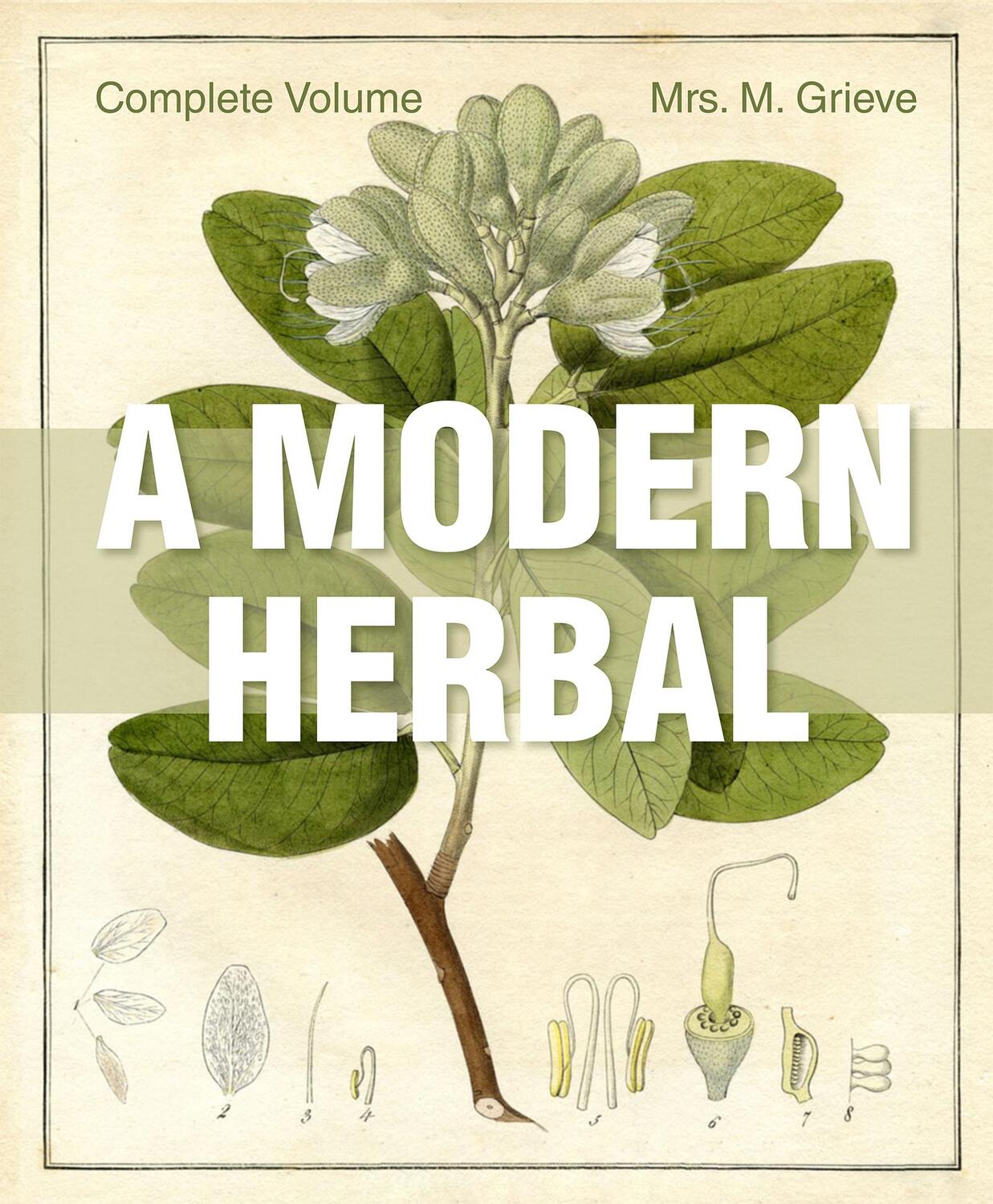Cover: 9781626542242 | A Modern Herbal | The Complete Edition | Margaret Grieve | Buch | 2015