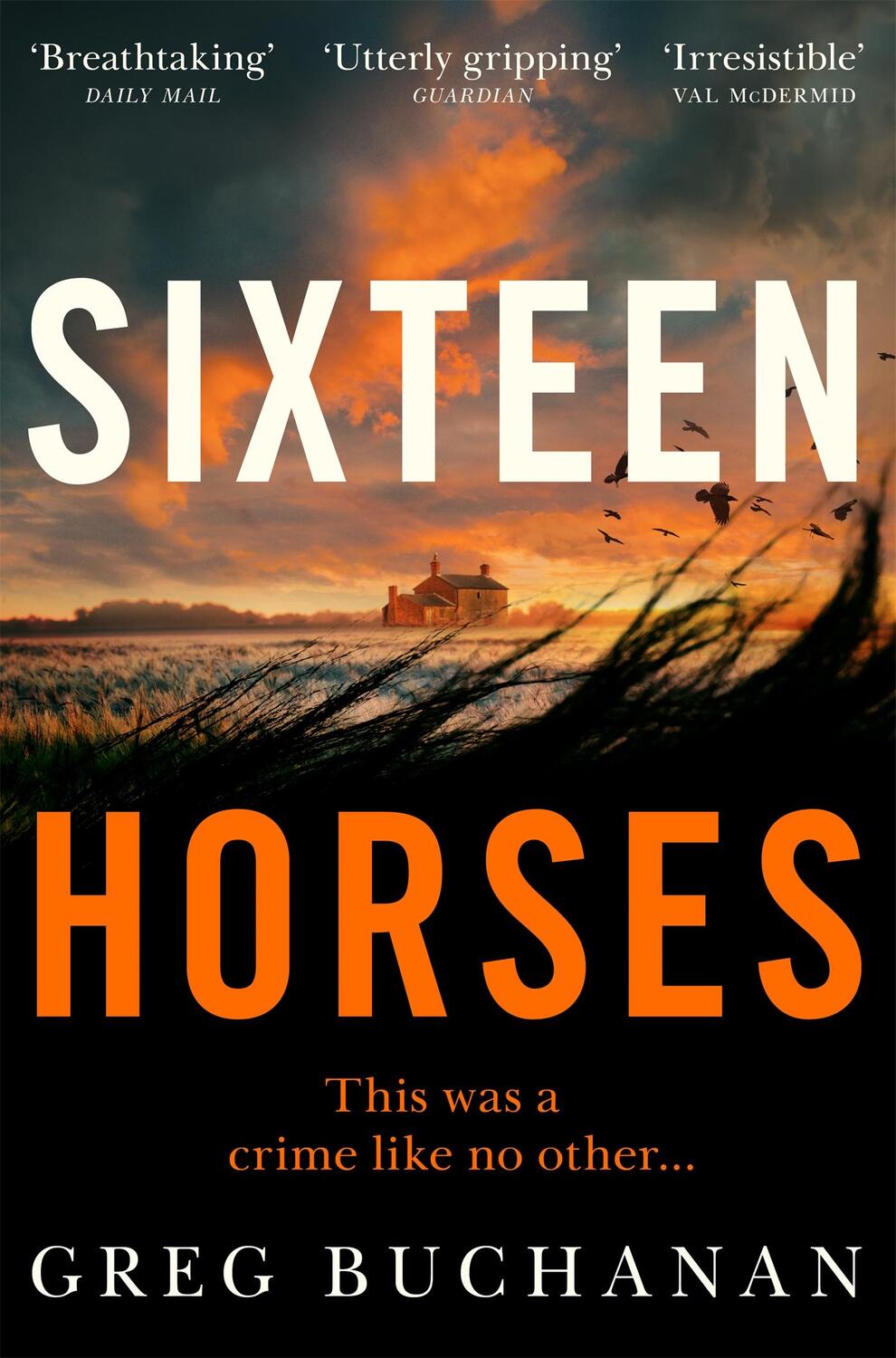Cover: 9781529027181 | Sixteen Horses | Greg Buchanan | Taschenbuch | Englisch | 2022