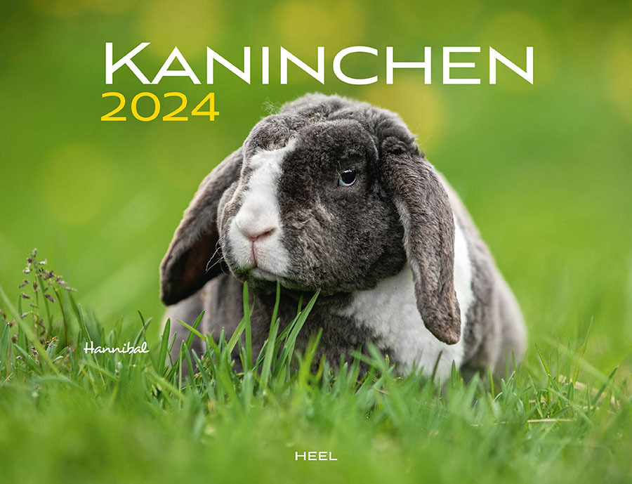 Cover: 9783966646185 | Kaninchen Eintragkalender 2024 | Familienplaner | Kalender | 14 S.