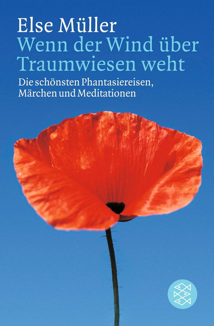 Cover: 9783596152148 | Wenn der Wind über Traumwiesen weht | Else Müller | Taschenbuch | 2012
