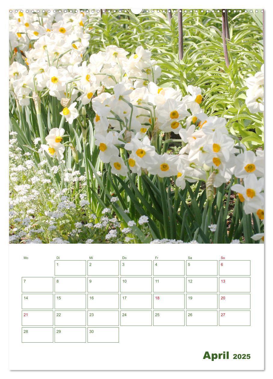 Bild: 9783435965038 | Weiße Blüten im Grünen (Wandkalender 2025 DIN A2 hoch), CALVENDO...