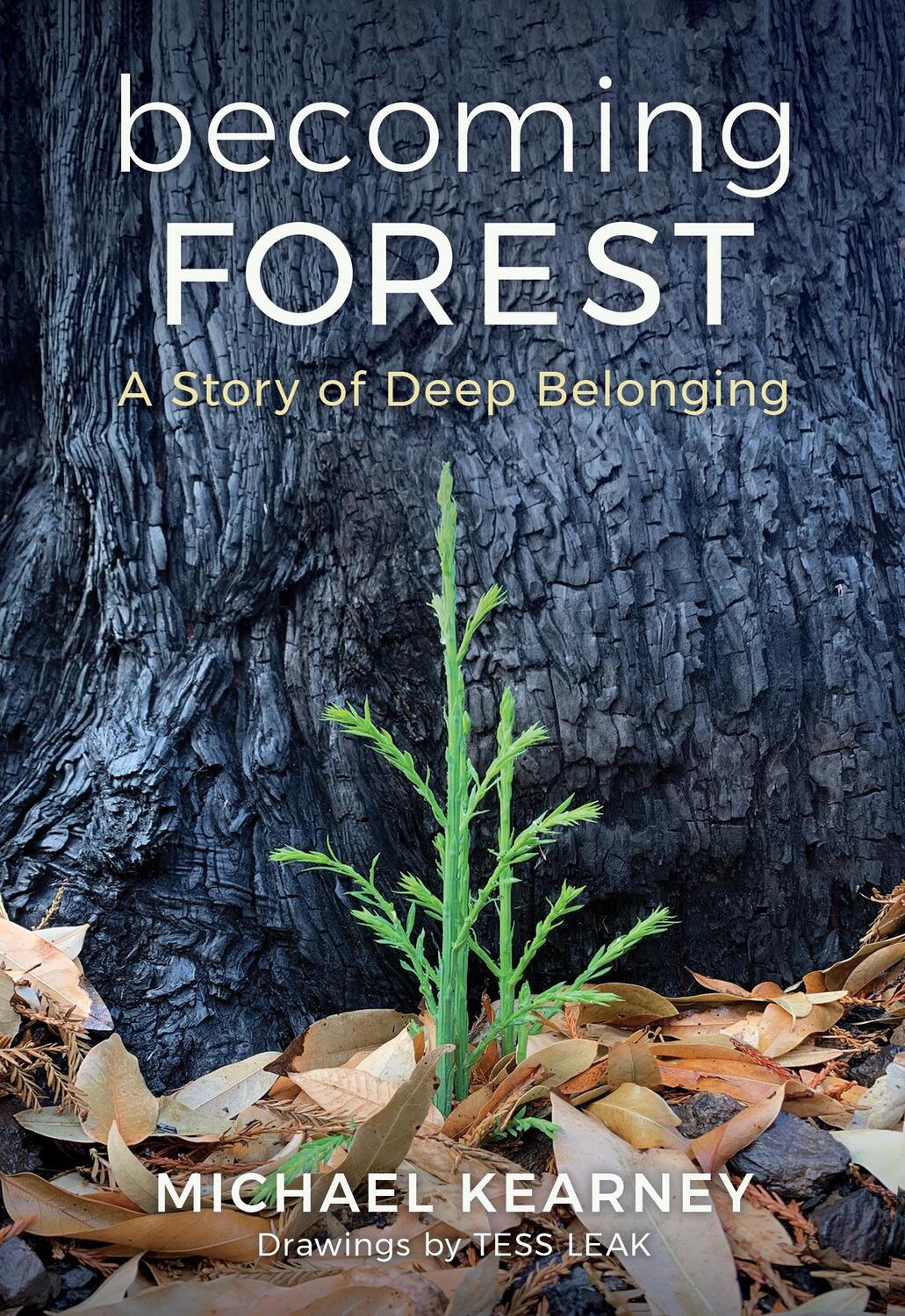 Cover: 9781632261045 | Becoming Forest: A Story of Deep Belonging | Michael Kearney | Buch