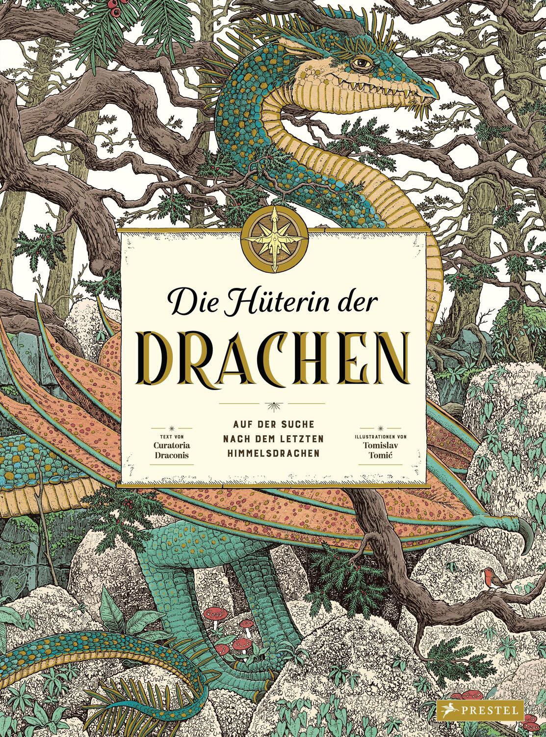 Cover: 9783791374833 | Die Hüterin der Drachen | Curatoria Draconis | Buch | 80 S. | Deutsch