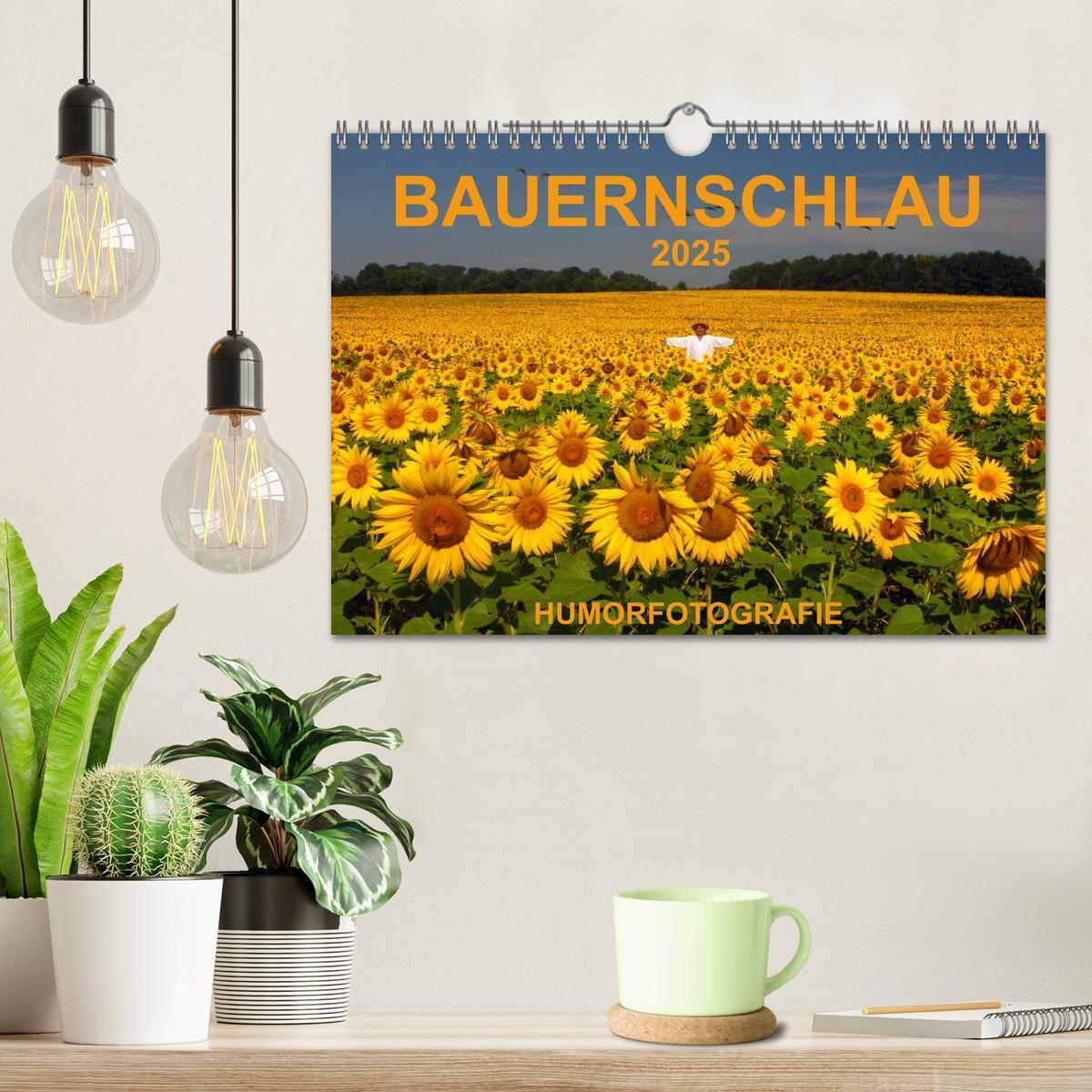 Bild: 9783435611553 | BAUERNSCHLAU 2025 (Wandkalender 2025 DIN A4 quer), CALVENDO...