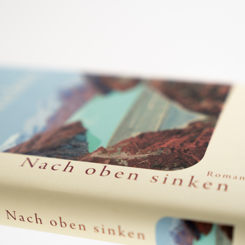 Bild: 9783312012855 | Nach oben sinken | Wilfried Meichtry | Buch | 256 S. | Deutsch | 2023