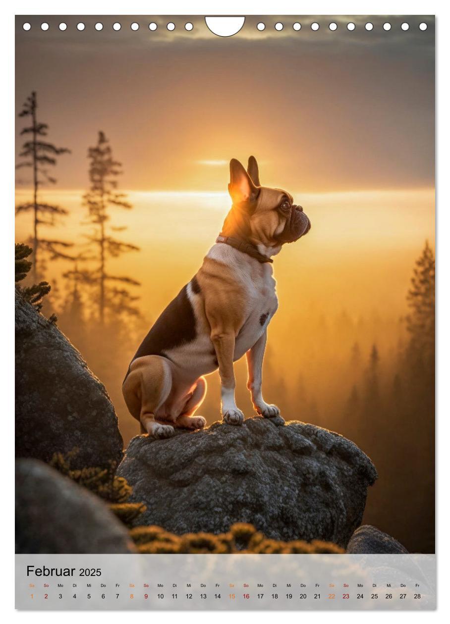 Bild: 9783435881369 | Französische Bulldogge - ein Hund für die Familie (Wandkalender...