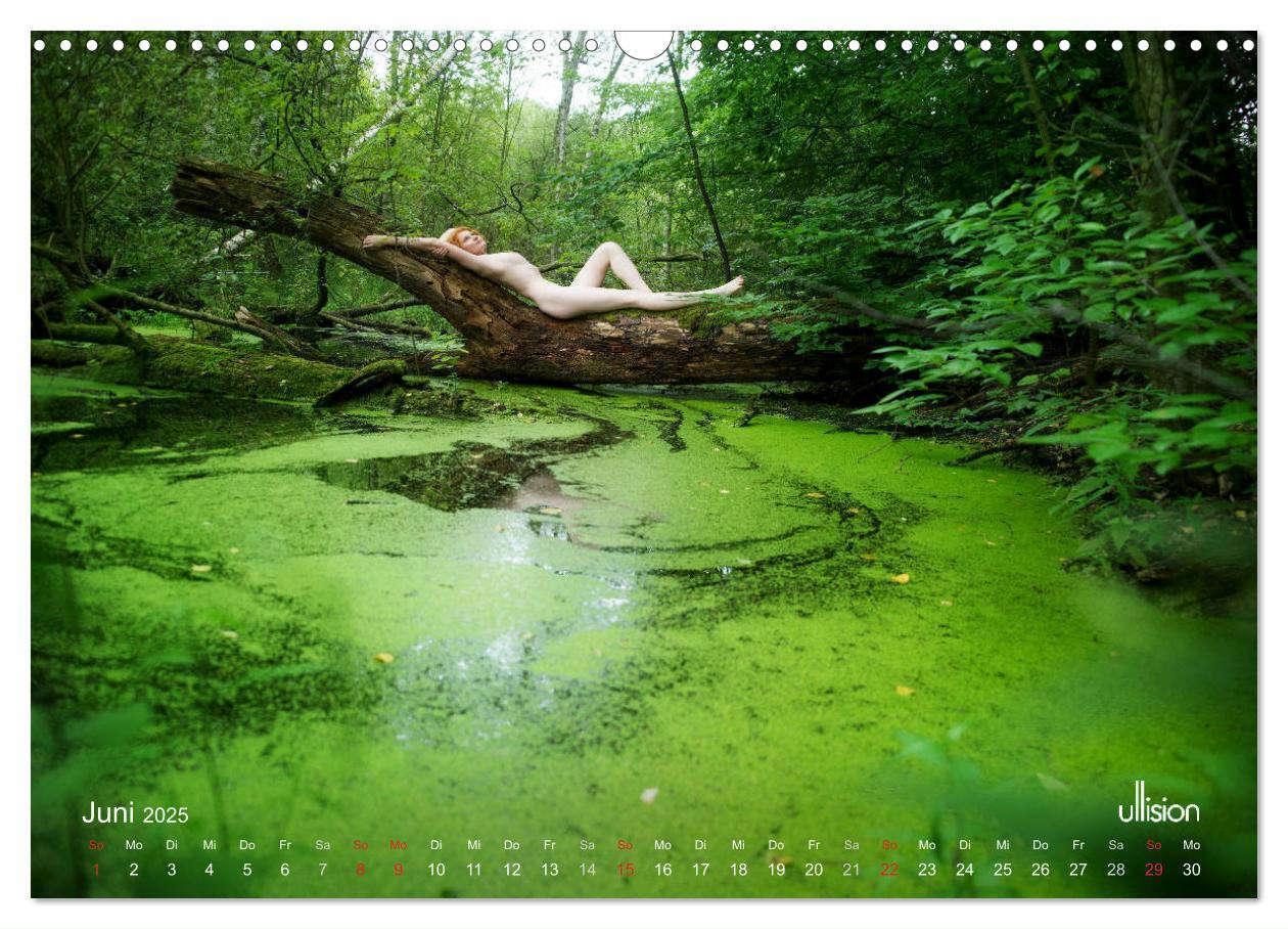 Bild: 9783435337491 | ZAUBERWALD Mystik der Natur (Wandkalender 2025 DIN A3 quer),...