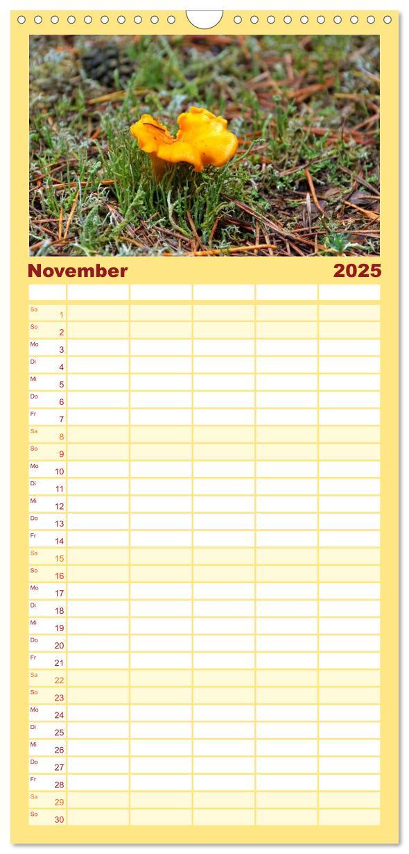 Bild: 9783457104149 | Familienplaner 2025 - Heimische Pilze mit 5 Spalten (Wandkalender,...