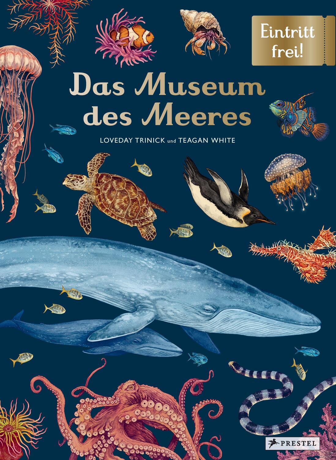 Cover: 9783791374628 | Das Museum des Meeres | Eintritt frei! | Loveday Trinick (u. a.)