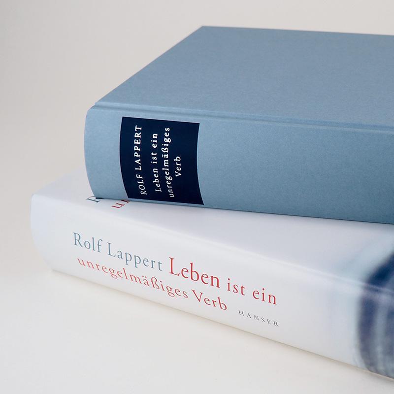 Bild: 9783446267565 | Leben ist ein unregelmäßiges Verb | Rolf Lappert | Buch | Lesebändchen