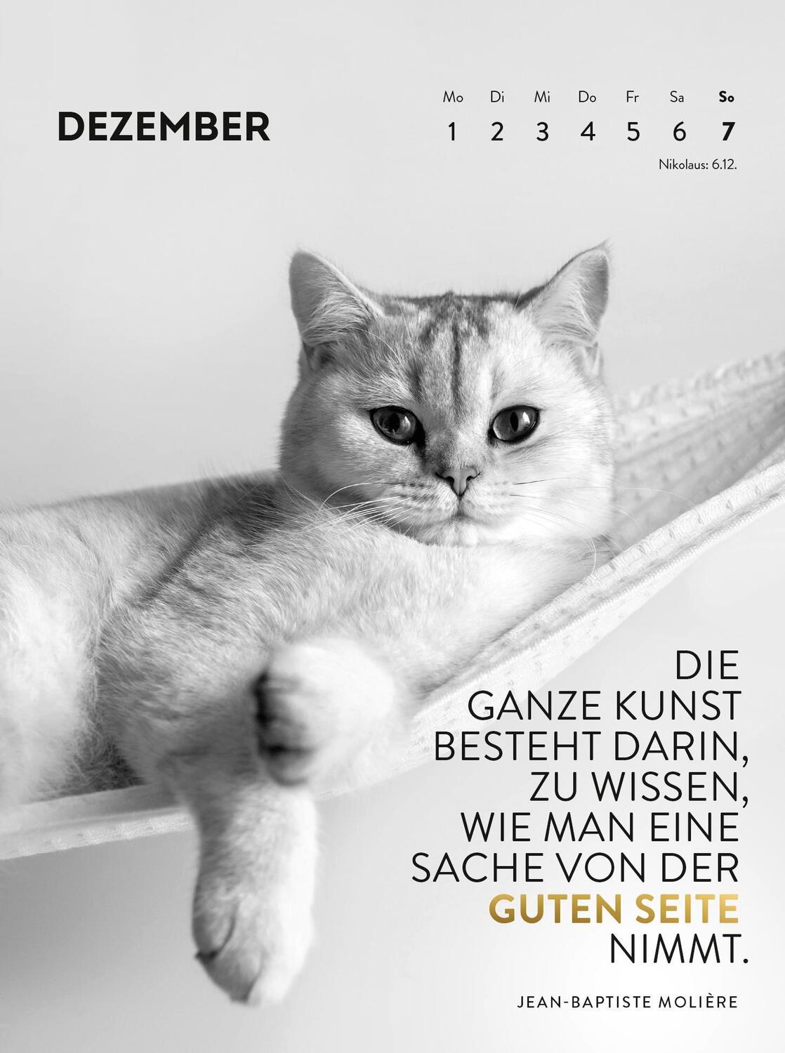 Bild: 4036442012116 | Wochenkalender 2025: Goldene Katzenweisheiten für jeden Tag | Verlag