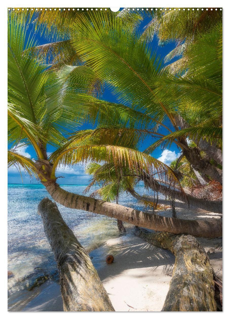 Bild: 9783435904808 | Karibischer Traum Isla Saona (hochwertiger Premium Wandkalender...