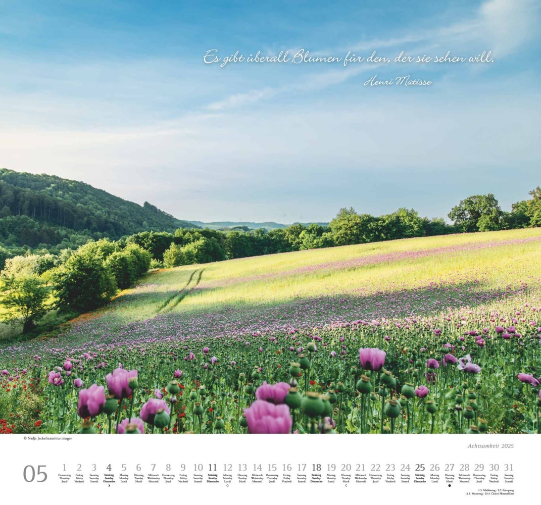 Bild: 4250809653495 | DUMONT - Achtsamkeit 2025 Wandkalender, 38x35,5cm,...