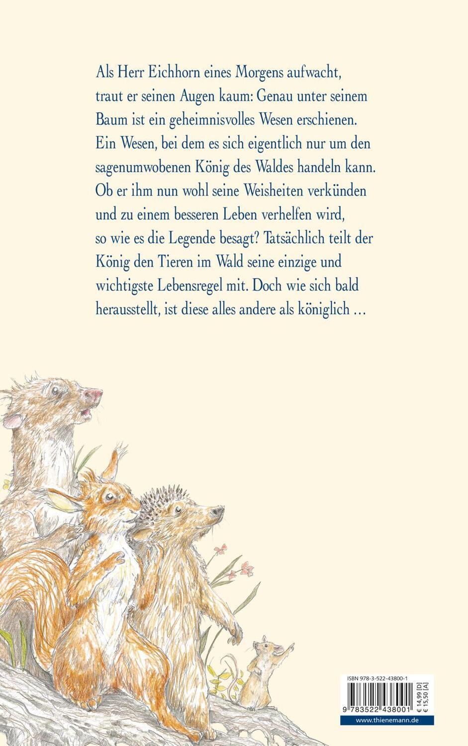 Rückseite: 9783522438001 | Herr Eichhorn und der König des Waldes | Sebastian Meschenmoser | Buch