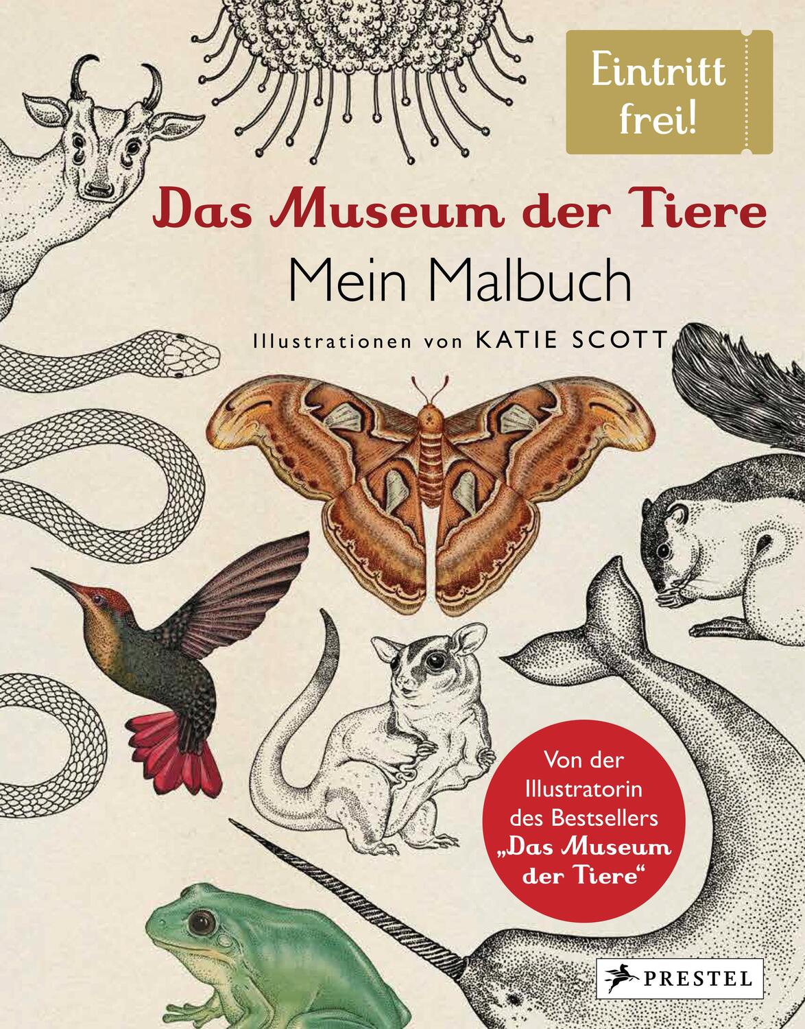 Cover: 9783791372938 | Das Museum der Tiere. Mein Malbuch | Eintritt frei! | Katie Scott