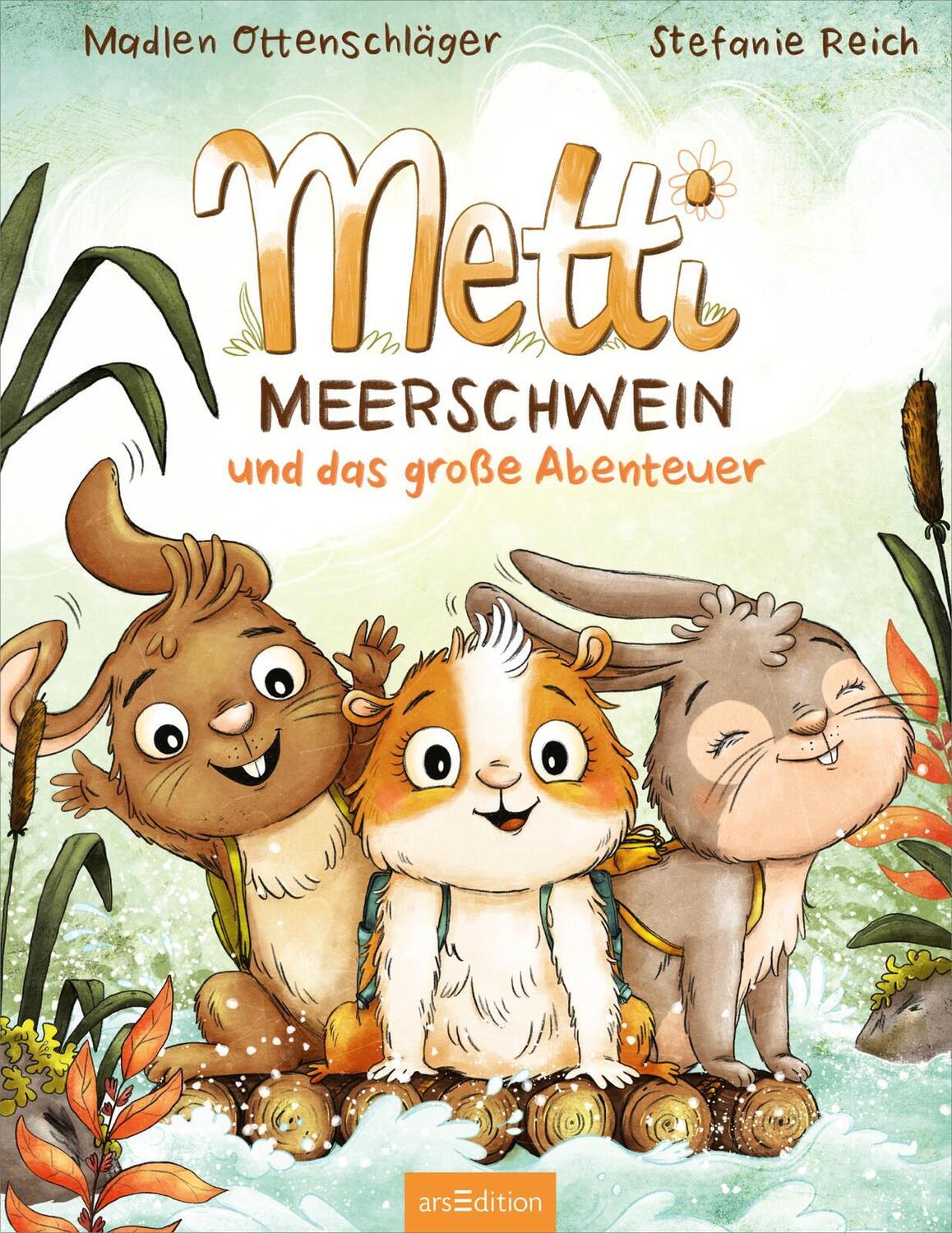 Bild: 9783845850177 | Metti Meerschwein und das große Abenteuer | Madlen Ottenschläger