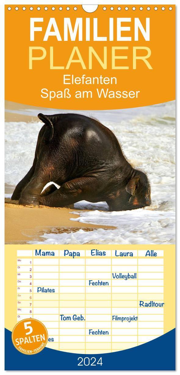 Cover: 9783383074264 | Familienplaner 2024 - Elefanten. Spaß am Wasser mit 5 Spalten...