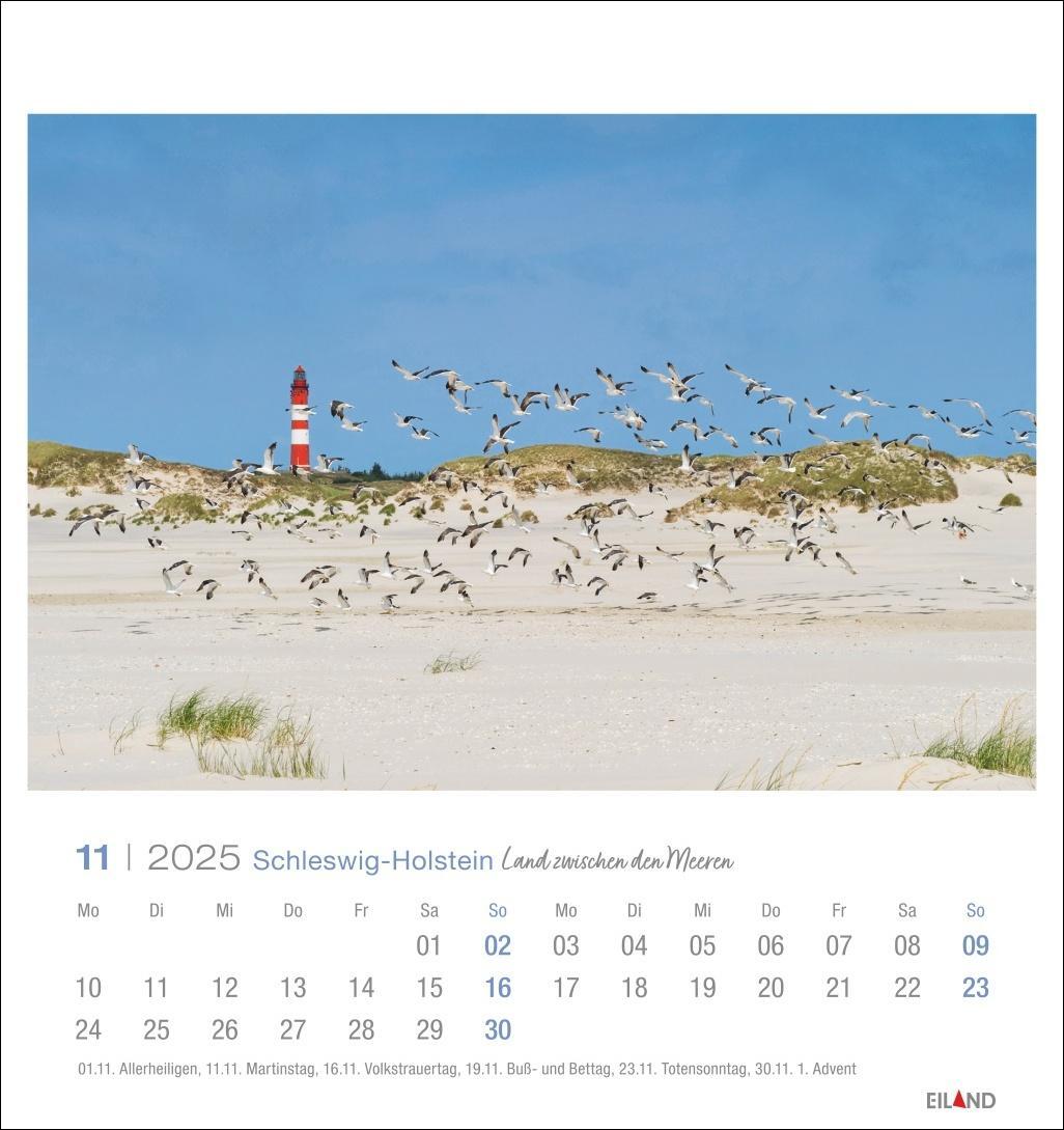 Bild: 9783964023339 | Schleswig-Holstein Postkartenkalender 2025 - Land zwischen den Meeren