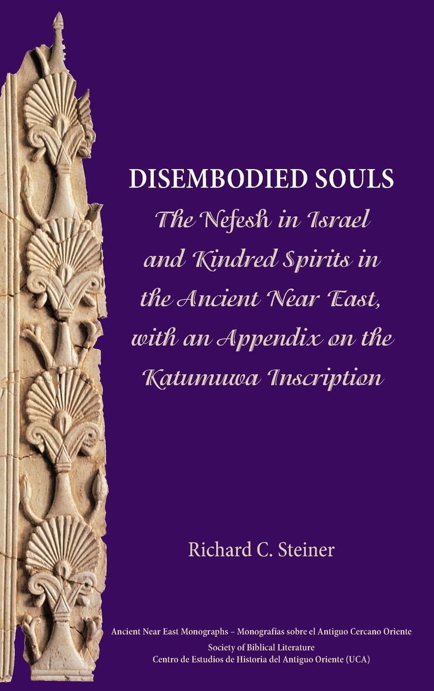 Cover: 9781628370782 | Disembodied Souls | Richard C. Steiner | Buch | Englisch | 2015
