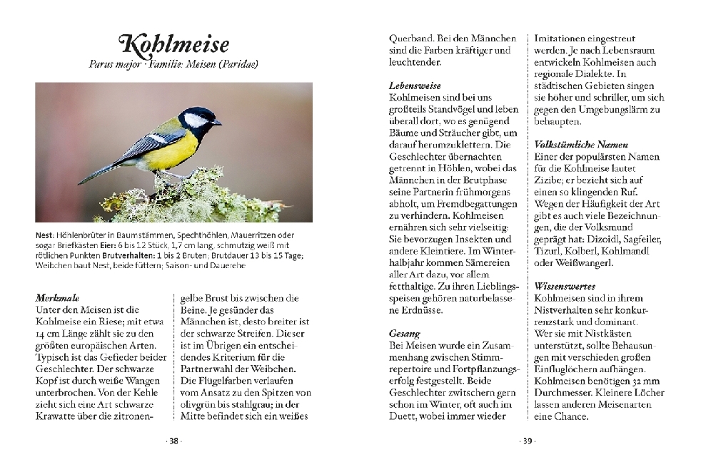 Bild: 9783710401749 | Das kleine Buch: Singvögel | Klaus Kamolz | Buch | 64 S. | Deutsch