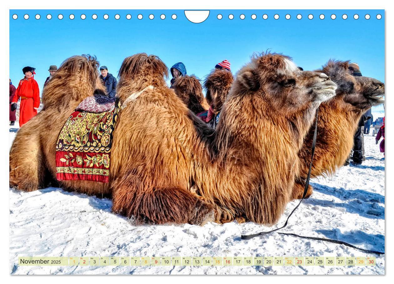 Bild: 9783435438815 | Reise durch Asien - Mongolei (Wandkalender 2025 DIN A4 quer),...