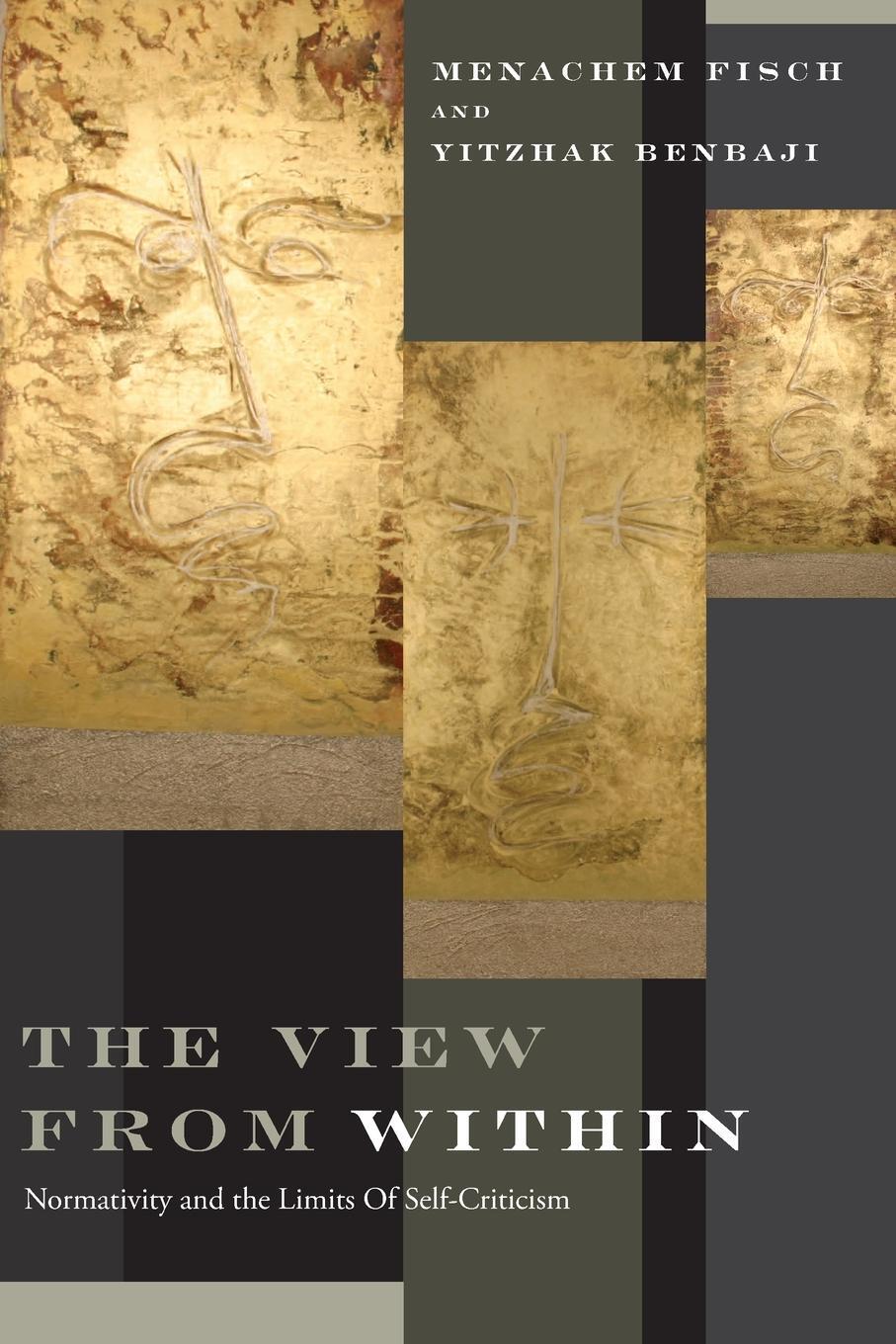 Cover: 9780268029043 | View from Within | Normativity and the Limits of Self-Criticism | Buch