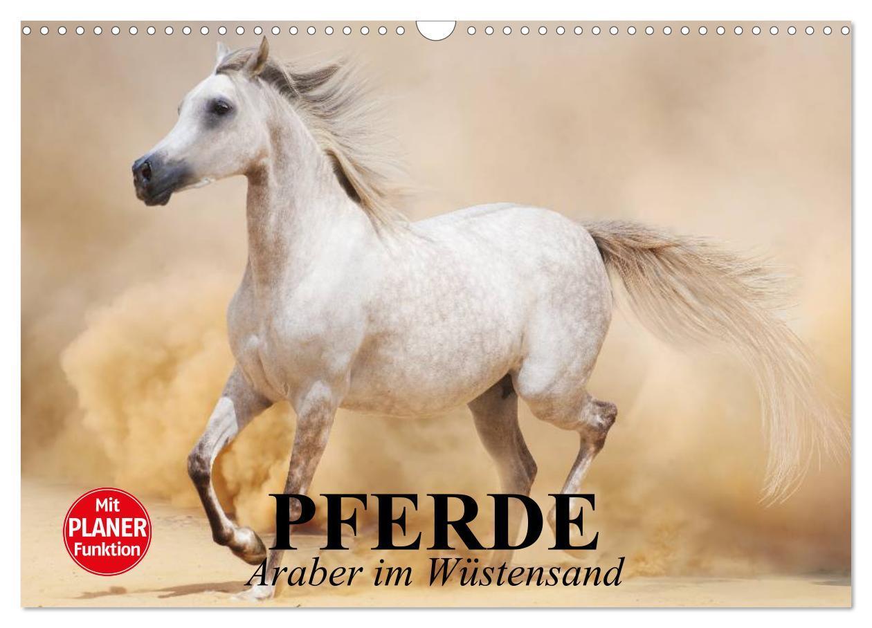 Cover: 9783383334702 | Pferde. Araber im Wüstensand (Wandkalender 2024 DIN A3 quer),...