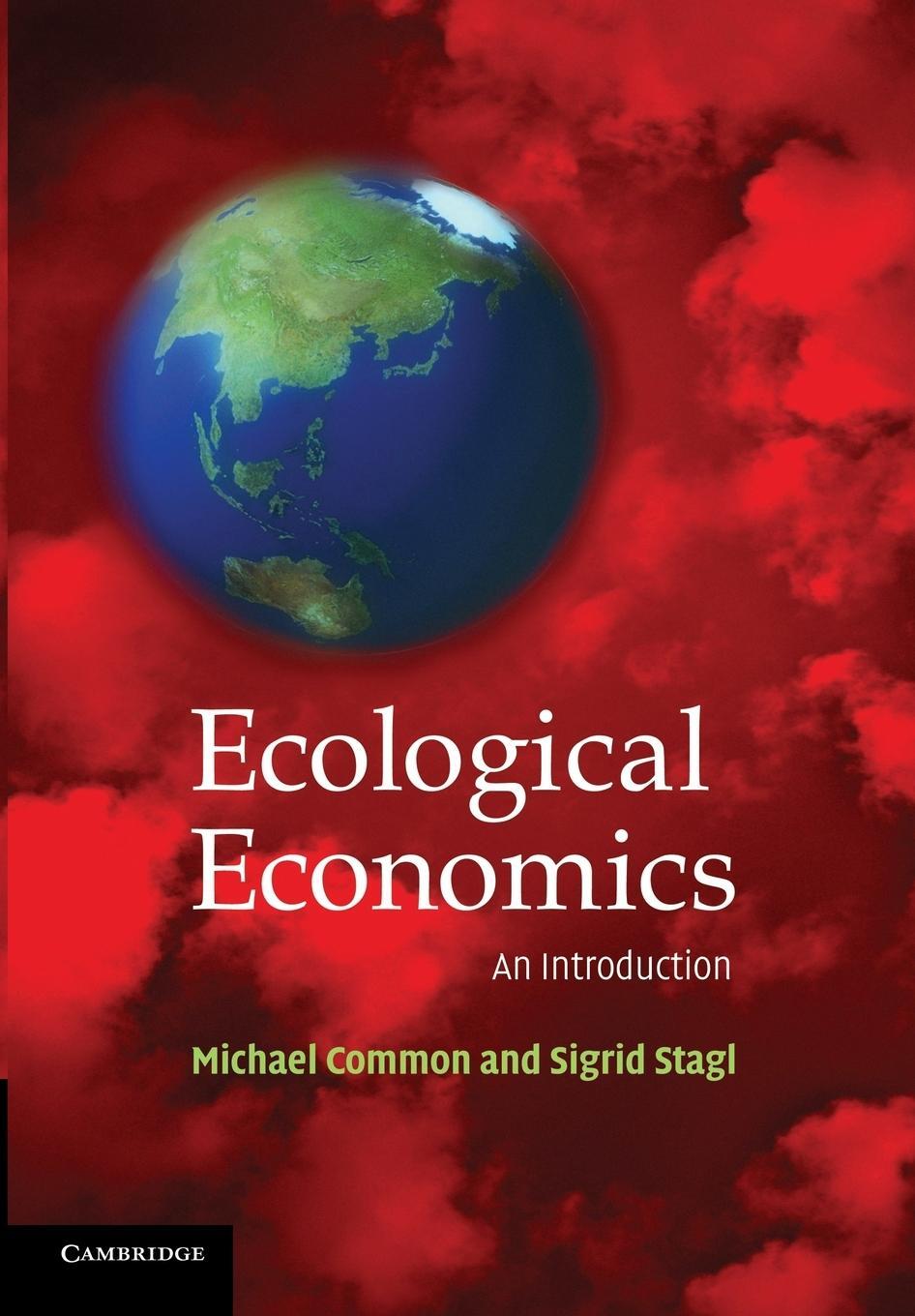 Cover: 9780521016704 | Ecological Economics | An Introduction | Sigrid Stagl | Taschenbuch