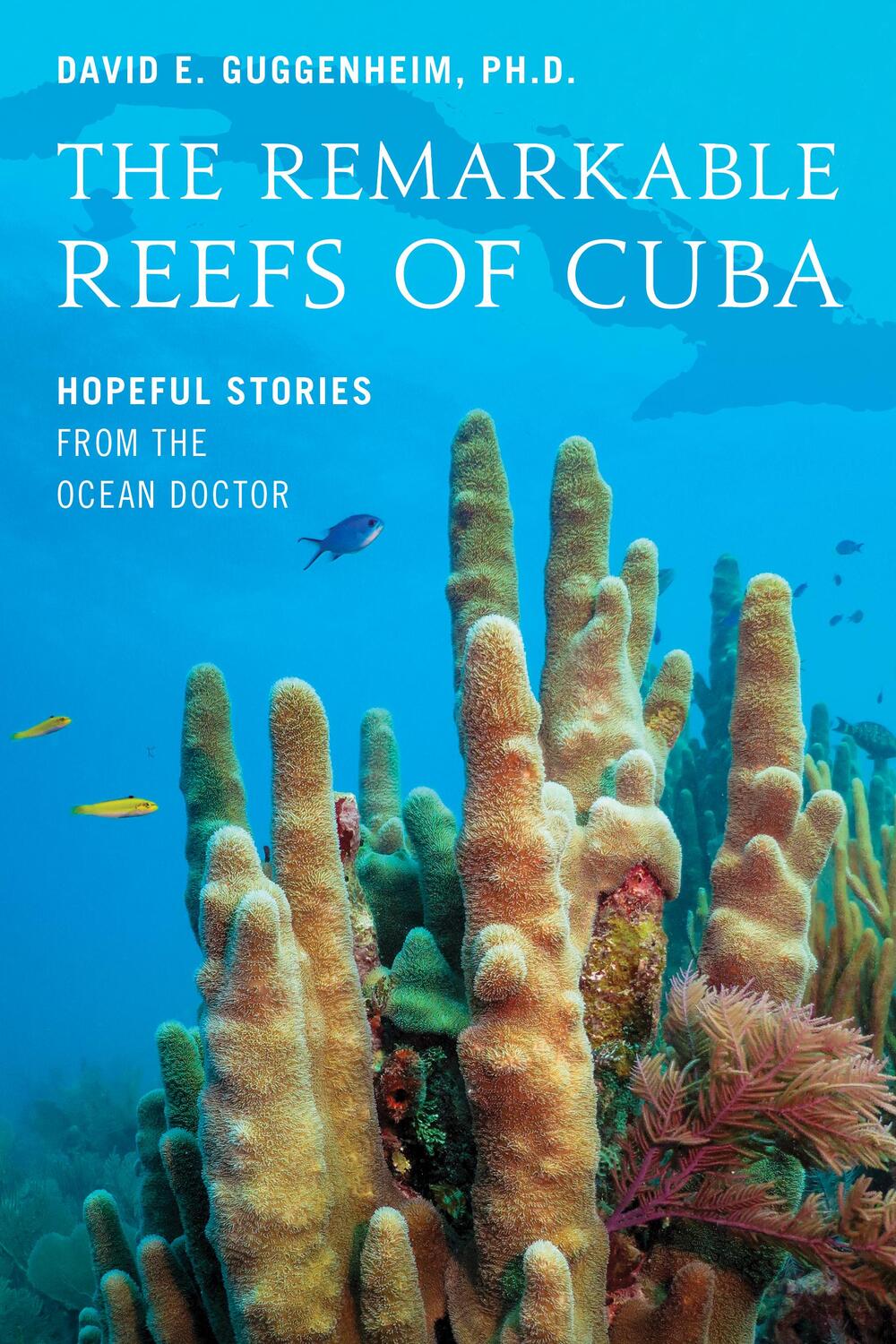 Cover: 9781633887800 | The Remarkable Reefs Of Cuba | Hopeful Stories From the Ocean Doctor