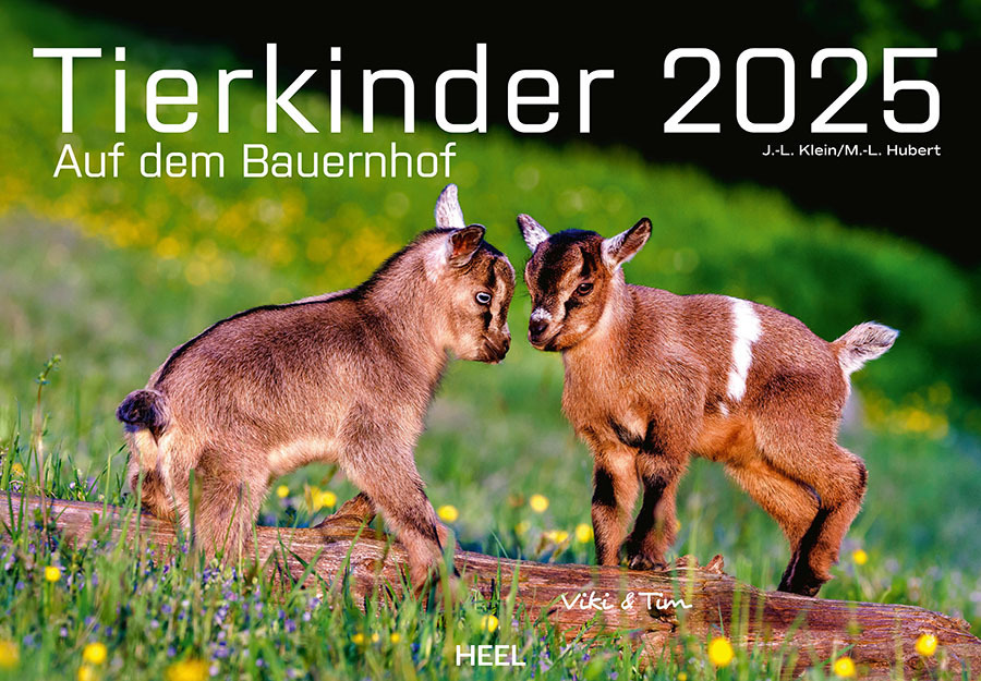 Cover: 9783966648349 | Tierkinder auf dem Bauernhof Kalender 2025 | J.-L. Klein (u. a.)