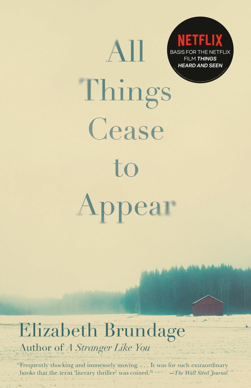 Cover: 9781101911488 | All Things Cease to Appear | Elizabeth Brundage | Taschenbuch | 2017